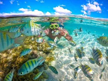 Snorkel em Maragogi Snorkel em Maragogi