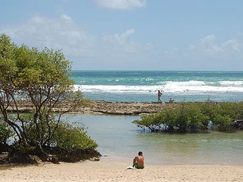 Passeio Praias do Cabo - Gaibu Passeio Praias do Cabo - Gaibu